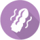 Icon categoria Fotografia